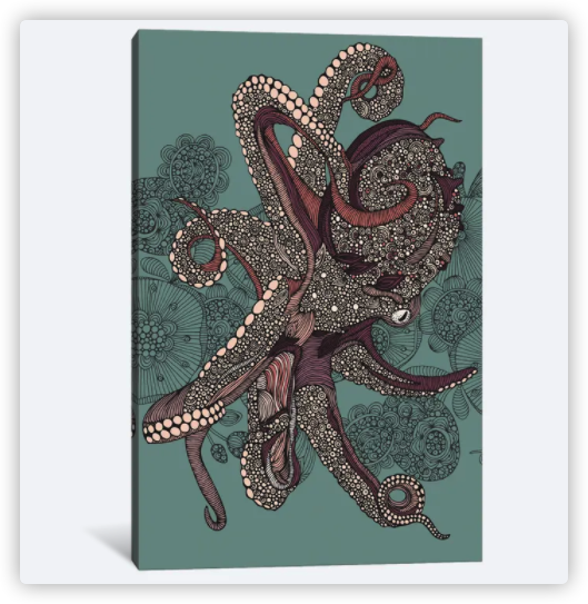 Octopus